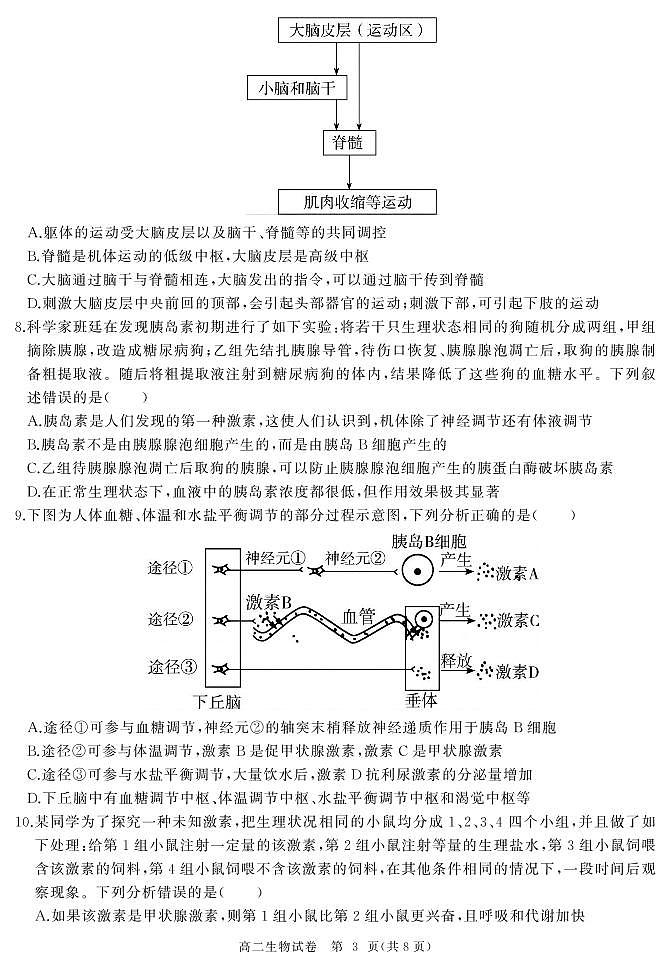 2022湖北省部分省级示范高中高二上学期期中测试生物试卷含解析03