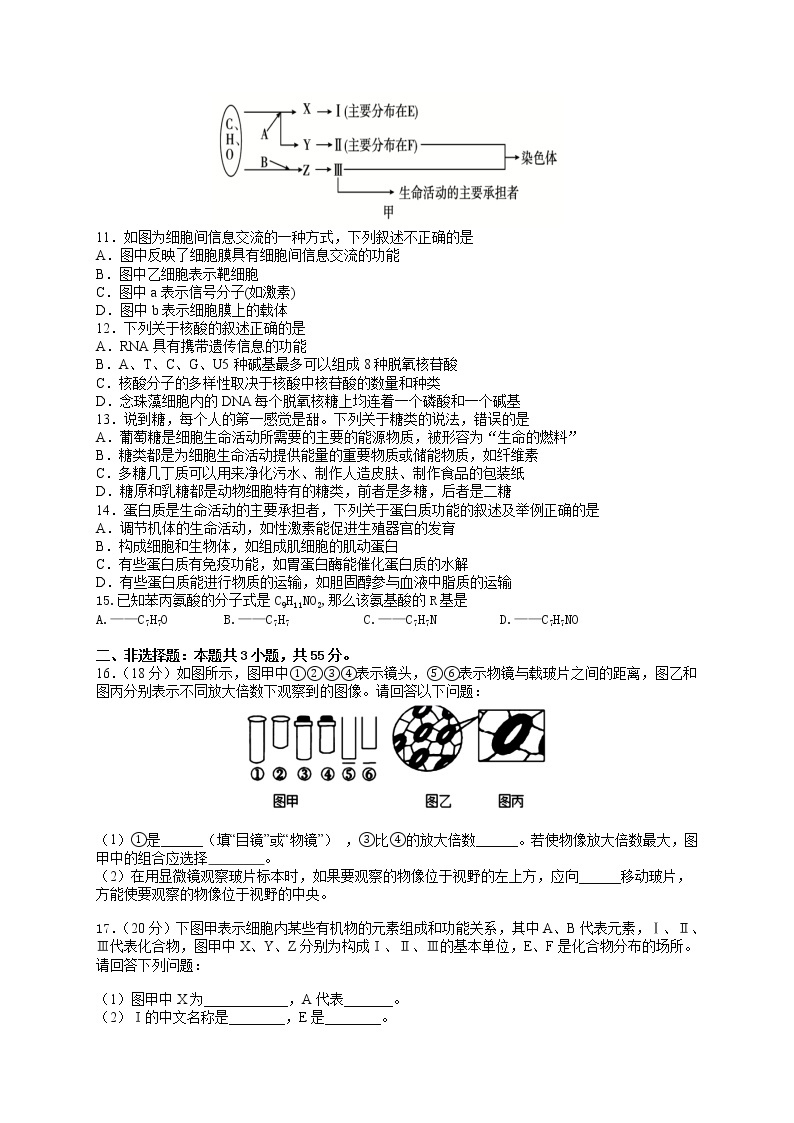 2022宜昌夷陵中学高一上学期期中考试生物试卷含答案02