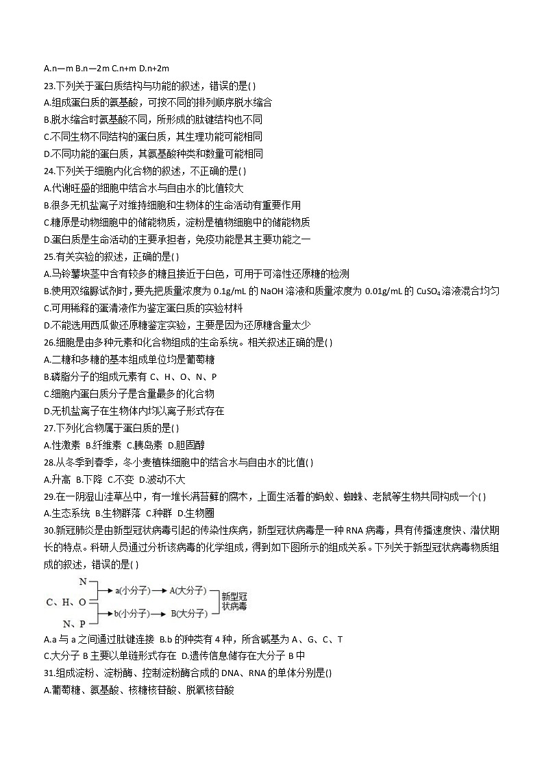 黑龙江省牡丹江市海林市朝鲜族中学2022-2023学年高一上学期第一次月考生物试题（含答案）03