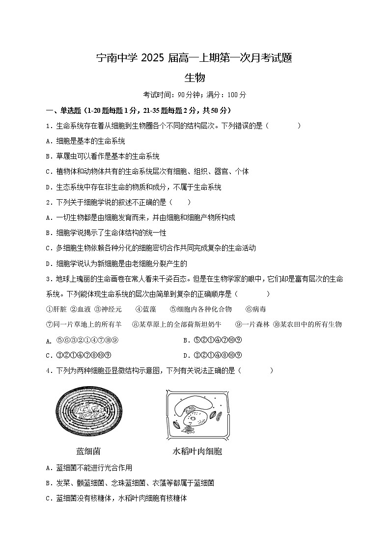四川省凉山州宁南中学2022-2023学年高一上学期第一次月考生物试题（含答案）01