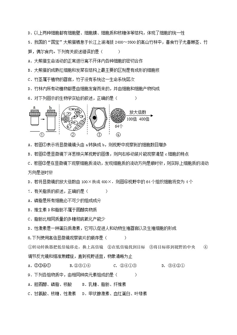 四川省凉山州宁南中学2022-2023学年高一上学期第一次月考生物试题（含答案）02