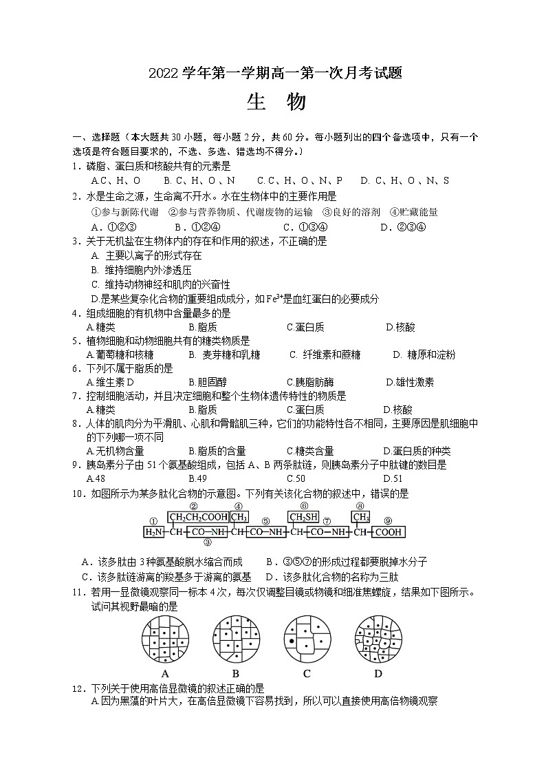 浙江省台州市玉环市玉城中学2022-2023学年高一上学期第一次月考生物试题（含答案）01