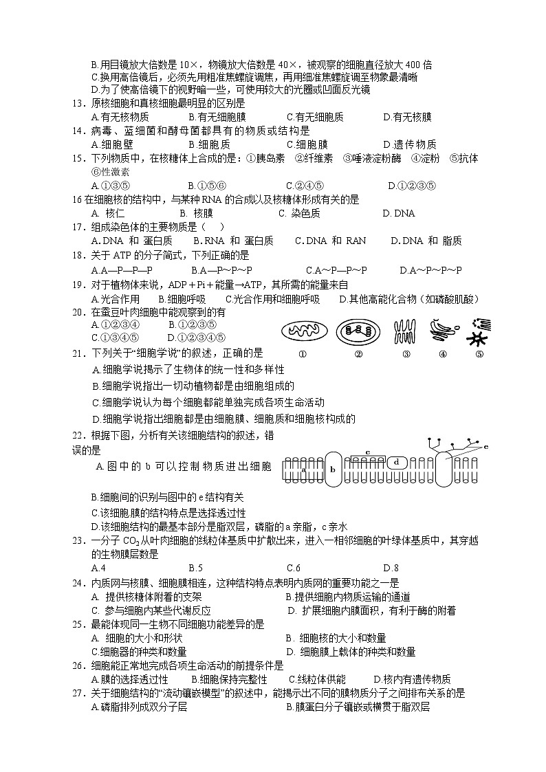浙江省台州市玉环市玉城中学2022-2023学年高一上学期第一次月考生物试题（含答案）02