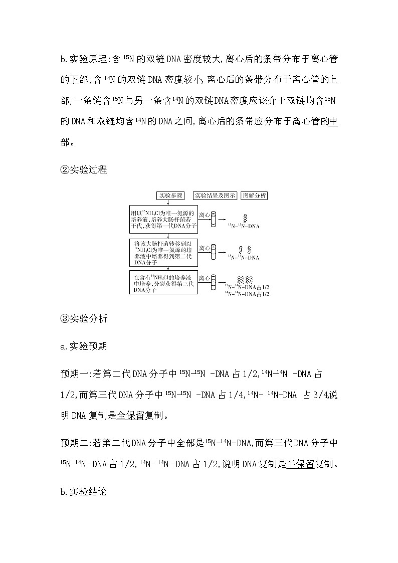第三节　DNA通过复制传递遗传信息第2页