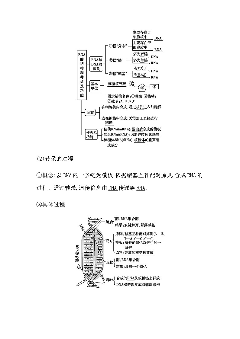 第四节　基因控制蛋白质合成第3页