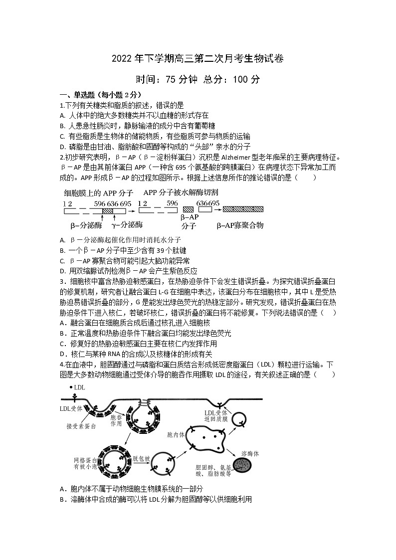 湖南省邵东市第一中学2022-2023学年高三上学期第二次月考生物试题（含答案）01