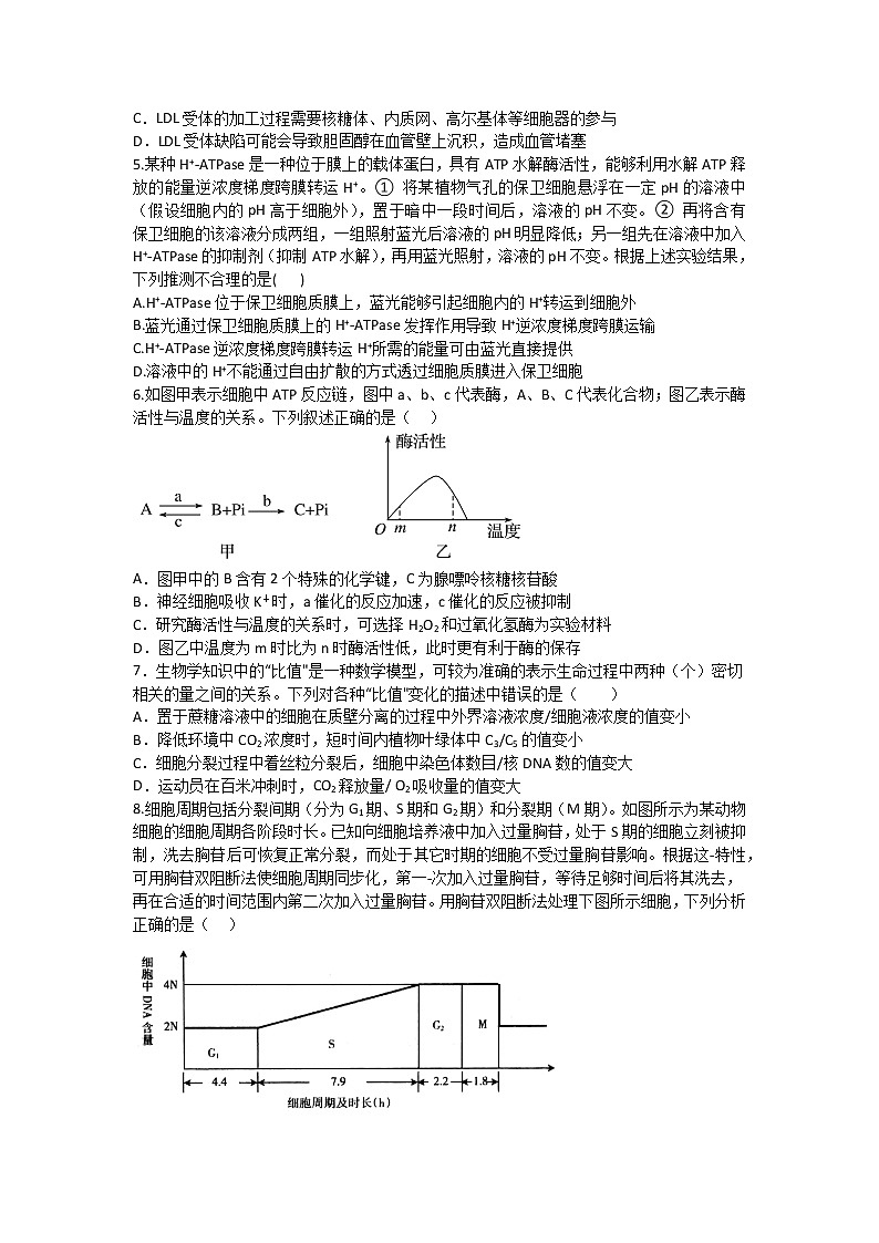 湖南省邵东市第一中学2022-2023学年高三上学期第二次月考生物试题（含答案）02