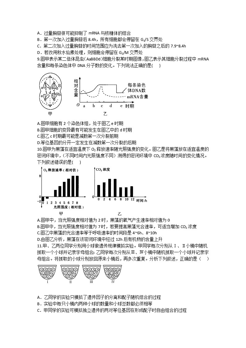 湖南省邵东市第一中学2022-2023学年高三上学期第二次月考生物试题（含答案）03