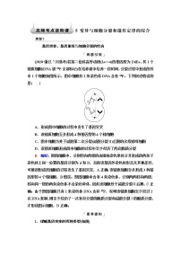 人教版高考生物一轮总复习必修2第7单元高频考点进阶课5变异与细胞分裂和遗传定律的综合学案