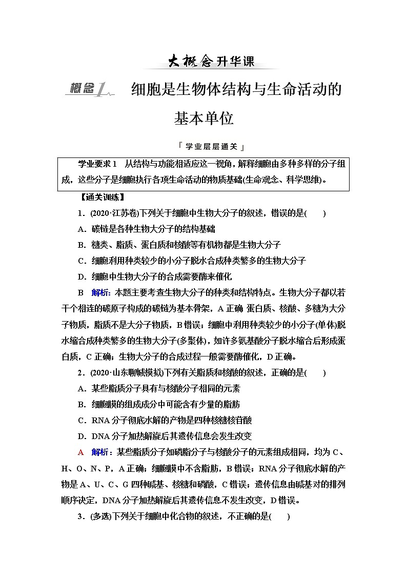 人教版高考生物一轮总复习必修1第2单元大概念升华课(必修概念1)学案01