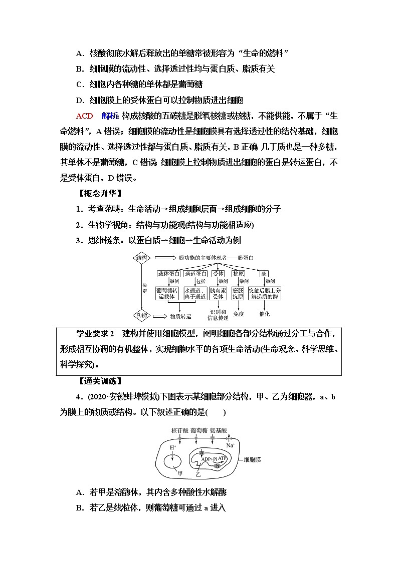 人教版高考生物一轮总复习必修1第2单元大概念升华课(必修概念1)学案02