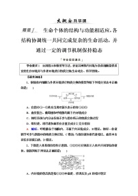 人教版高考生物一轮总复习选择性必修1第8单元大概念升华课(选择性必修概念1)学案