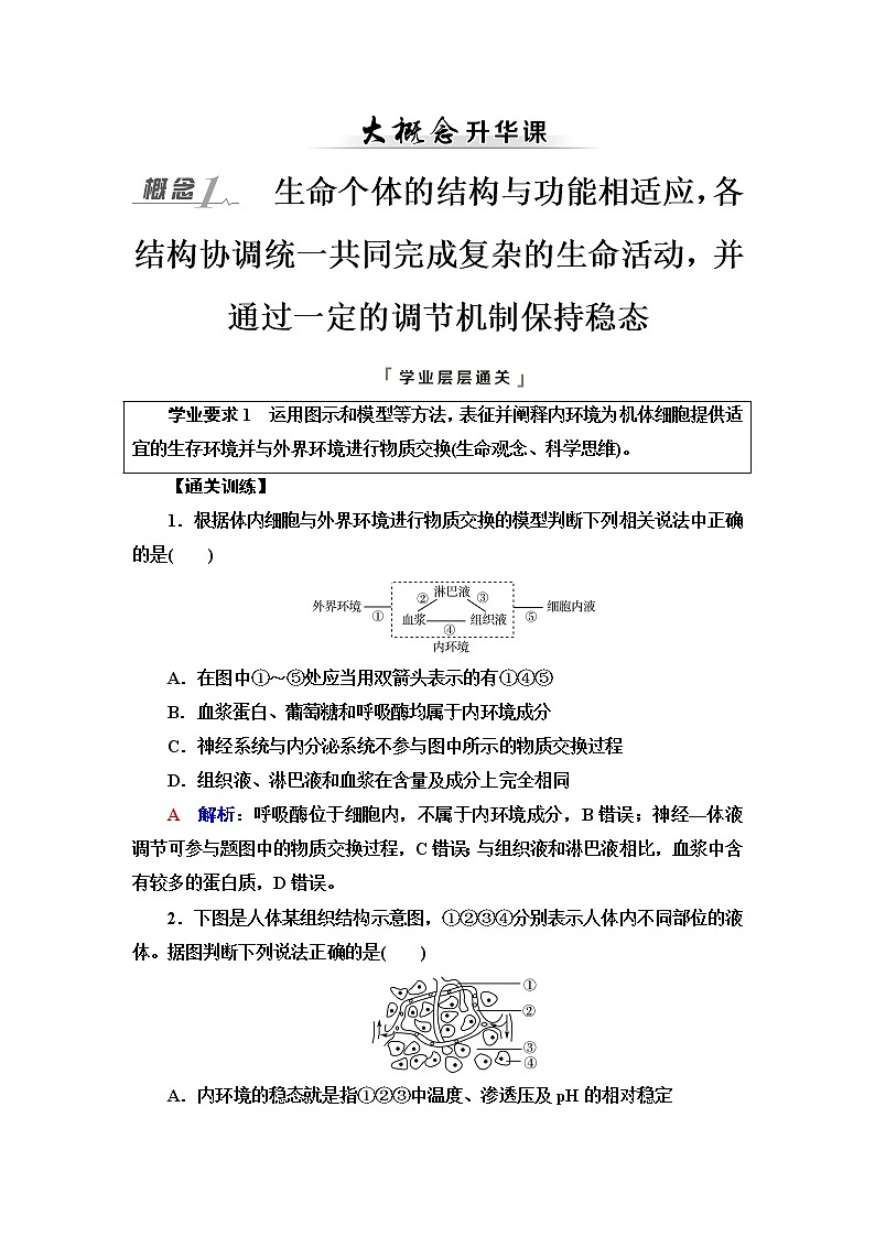 人教版高考生物一轮总复习选择性必修1第8单元大概念升华课(选择性必修概念1)学案01