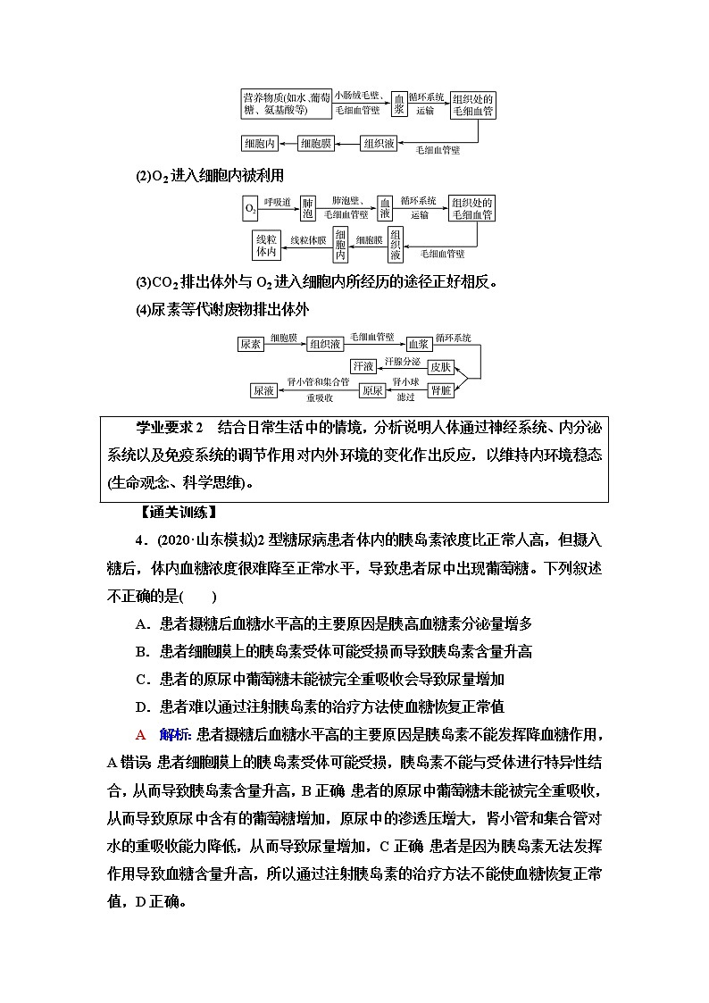 人教版高考生物一轮总复习选择性必修1第8单元大概念升华课(选择性必修概念1)学案03
