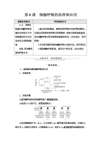 人教版高考生物一轮总复习必修1第3单元第8课细胞呼吸的原理和应用学案