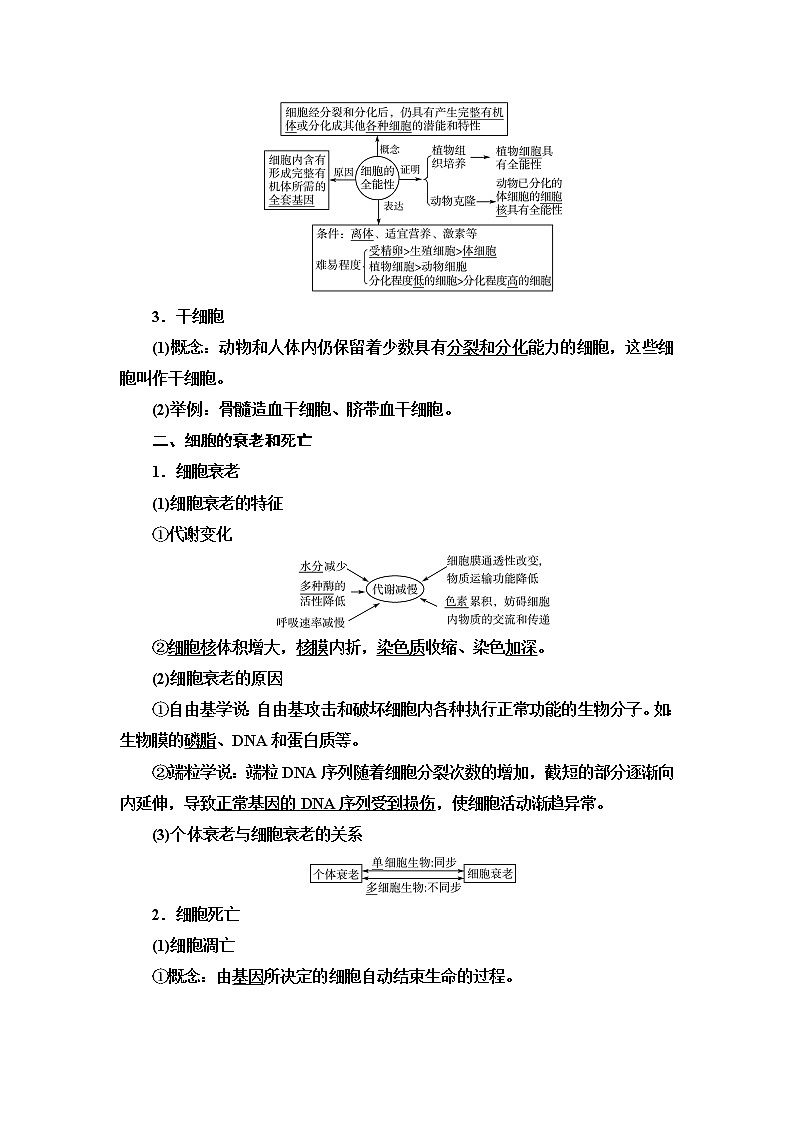 人教版高考生物一轮总复习必修1第4单元第12课细胞的分化、衰老和死亡学案第2页