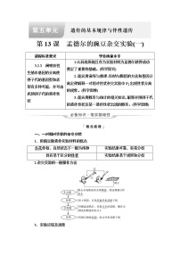 人教版高考生物一轮总复习必修2第5单元第13课孟德尔的豌豆杂交实验(一)学案