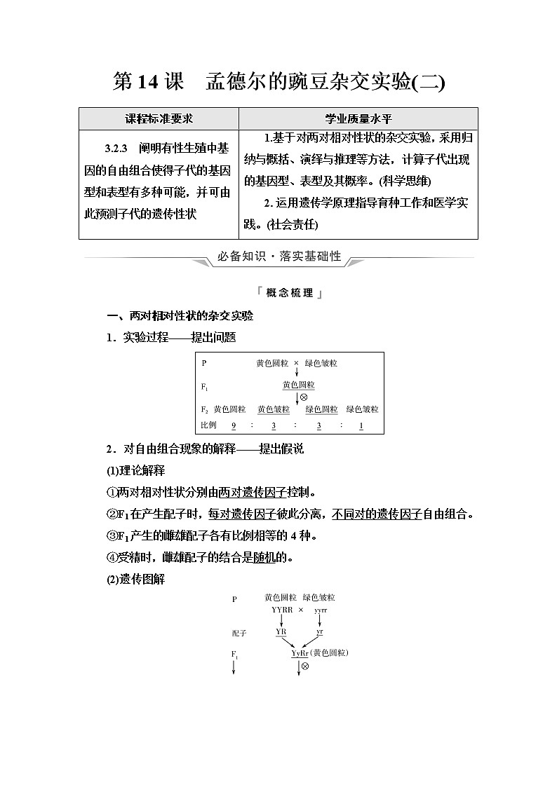人教版高考生物一轮总复习必修2第5单元第14课孟德尔的豌豆杂交实验(二)学案第1页