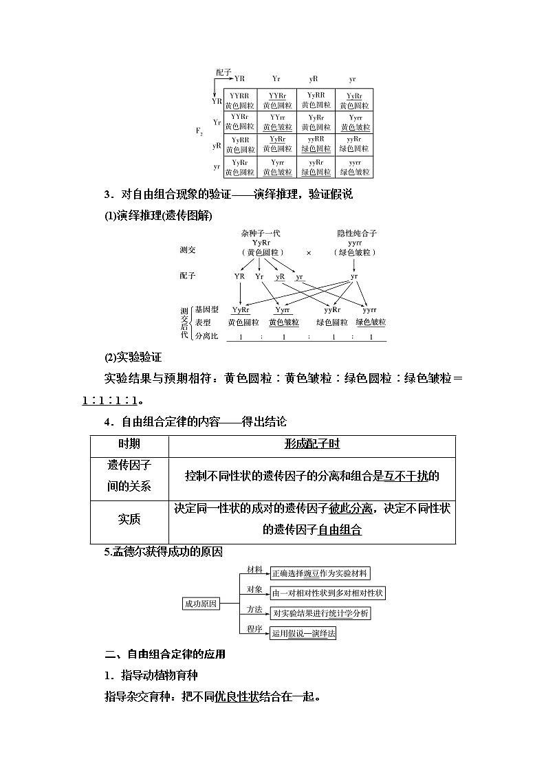 人教版高考生物一轮总复习必修2第5单元第14课孟德尔的豌豆杂交实验(二)学案第2页
