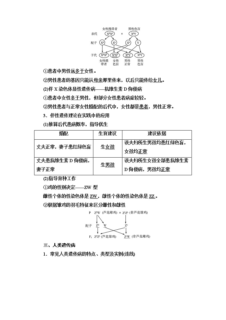 人教版高考生物一轮总复习必修2第5单元第15课基因在染色体上、伴性遗传和人类遗传病学案第3页