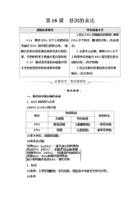 人教版高考生物一轮总复习必修2第6单元第18课基因的表达学案