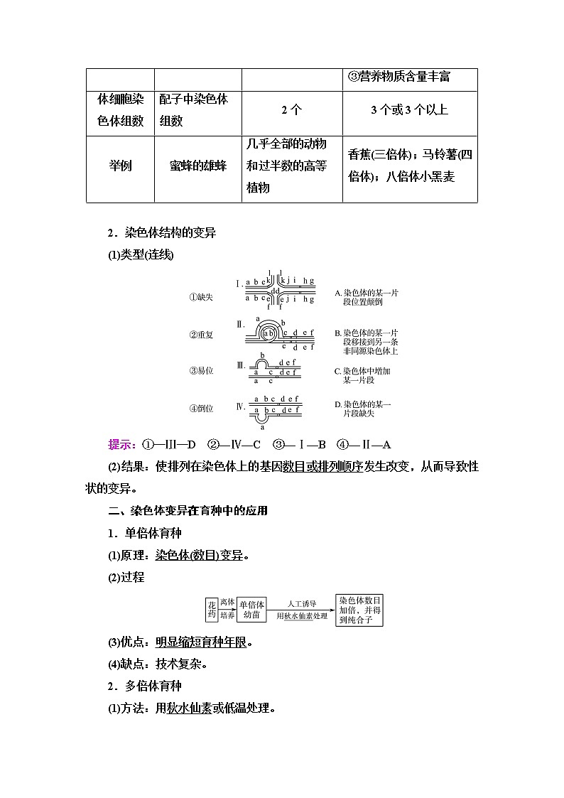 人教版高考生物一轮总复习必修2第7单元第20课染色体变异学案第2页