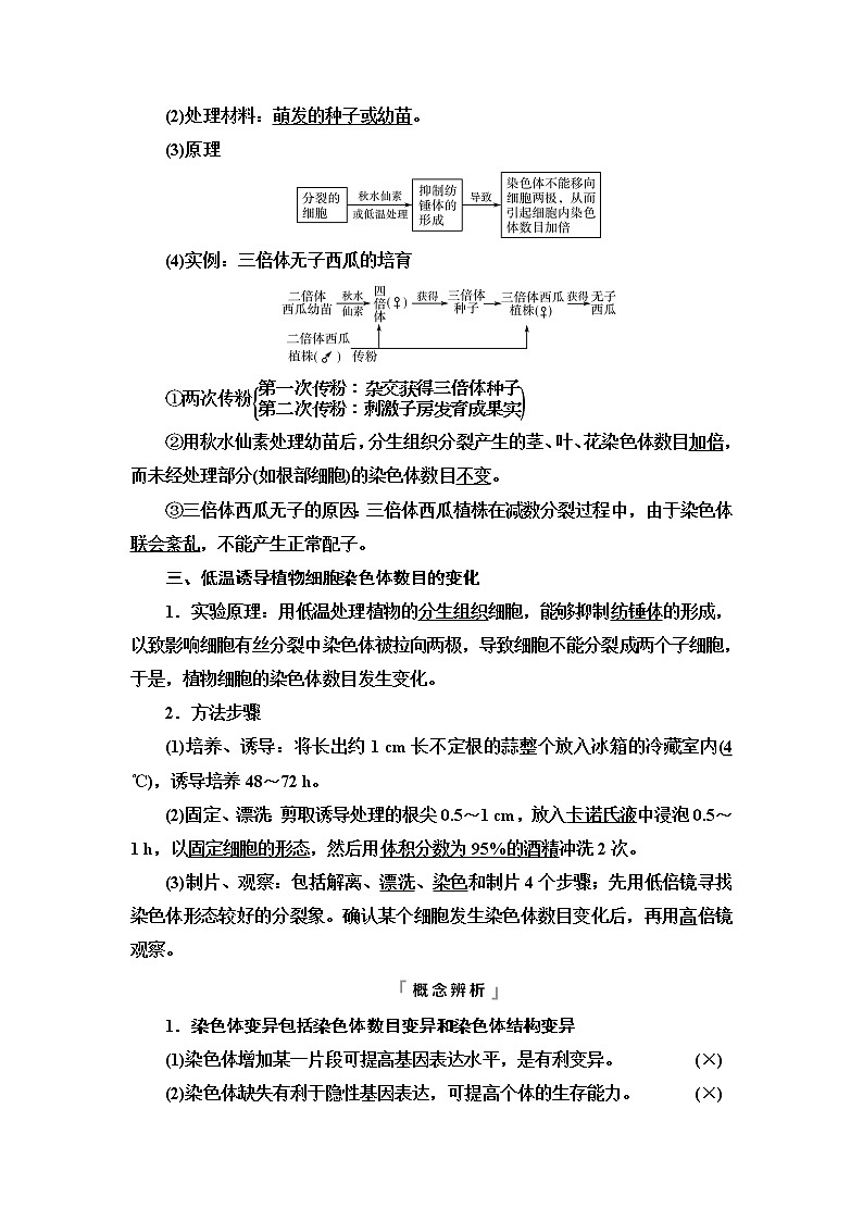 人教版高考生物一轮总复习必修2第7单元第20课染色体变异学案第3页