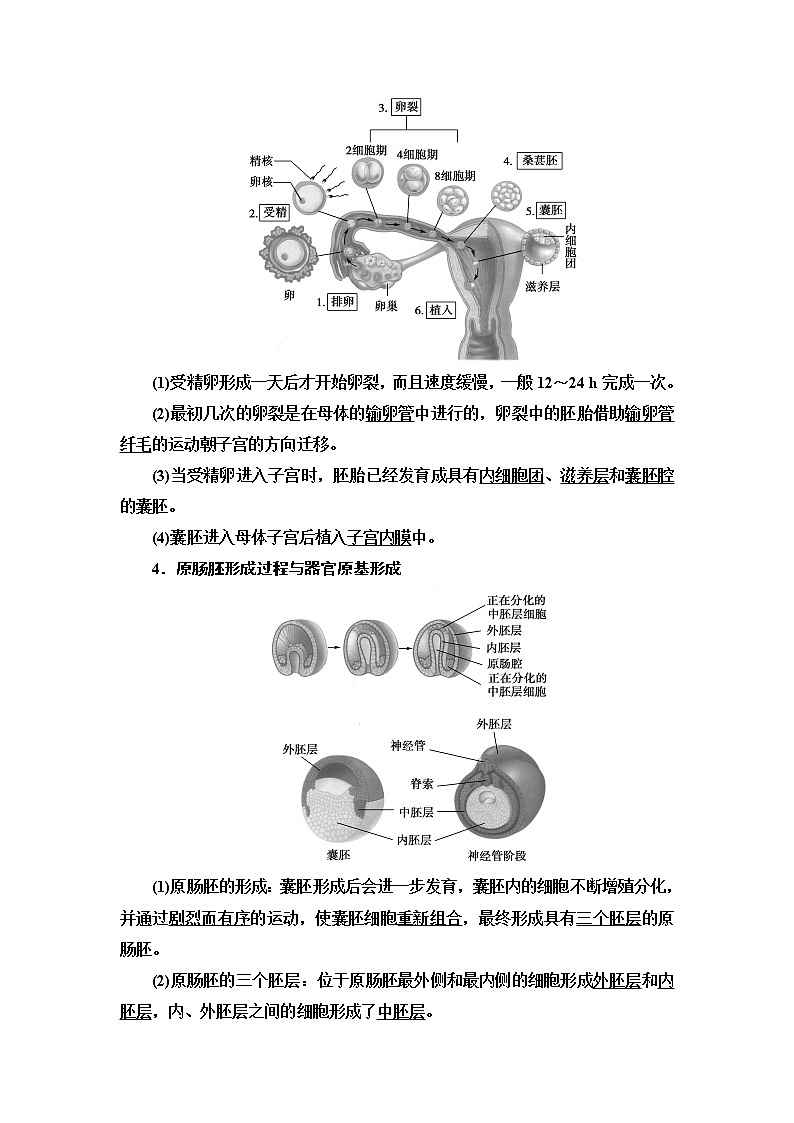浙科版高中生物选择性必修3第3章第4节第1课时胚胎工程的理论基础学案03