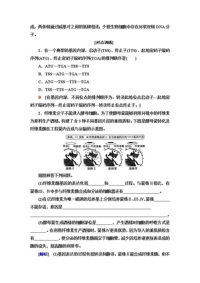 浙科版高中生物选择性必修3第4章第2节素能提升课基因工程与其他模块知识的综合学案02