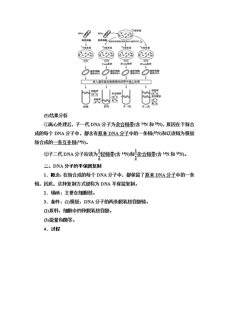 苏教版高中生物必修2第2章第2节第2课时DNA分子的复制课时学案02