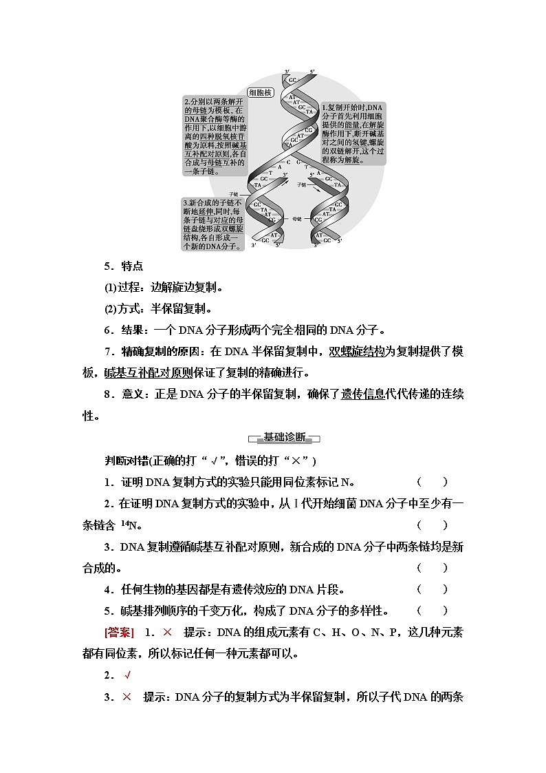 苏教版高中生物必修2第2章第2节第2课时DNA分子的复制课时学案03