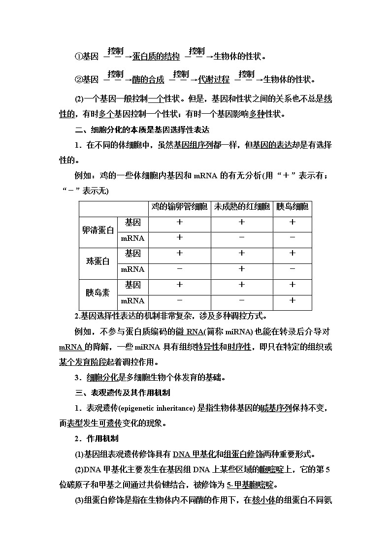 苏教版高中生物必修2第2章第3节第2课时中心法则、细胞分化及表观遗传课时学案02