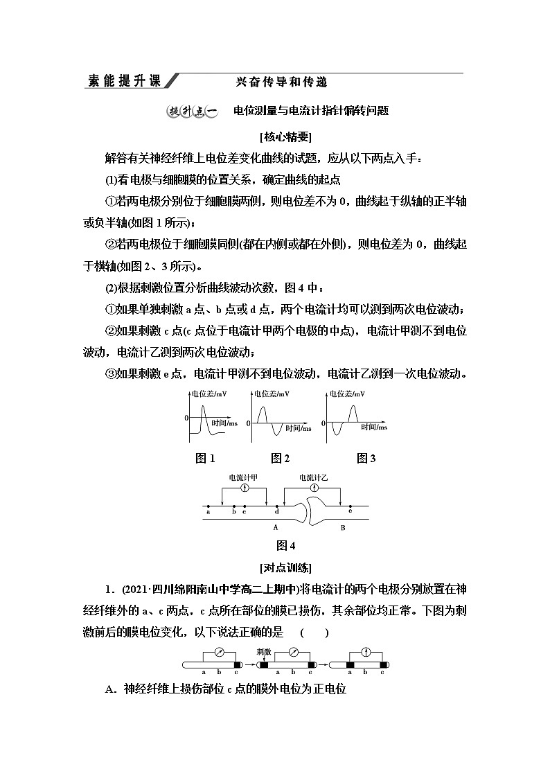 浙科版高中生物选择性必修1第2章素能提升课兴奋传导和传递学案01