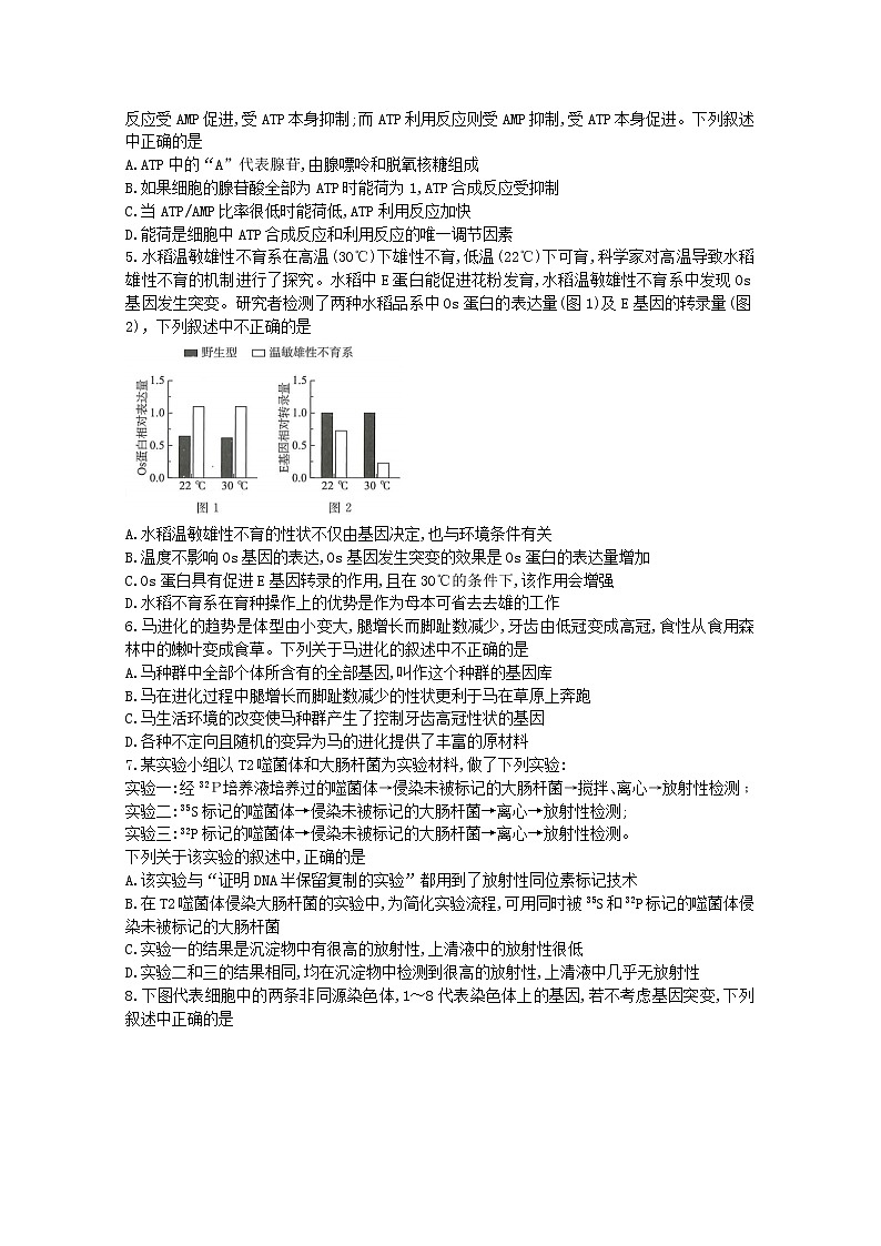 河南省部分重点高中2022-2023学年高二生物上学期9月联考试题（Word版附解析）第2页