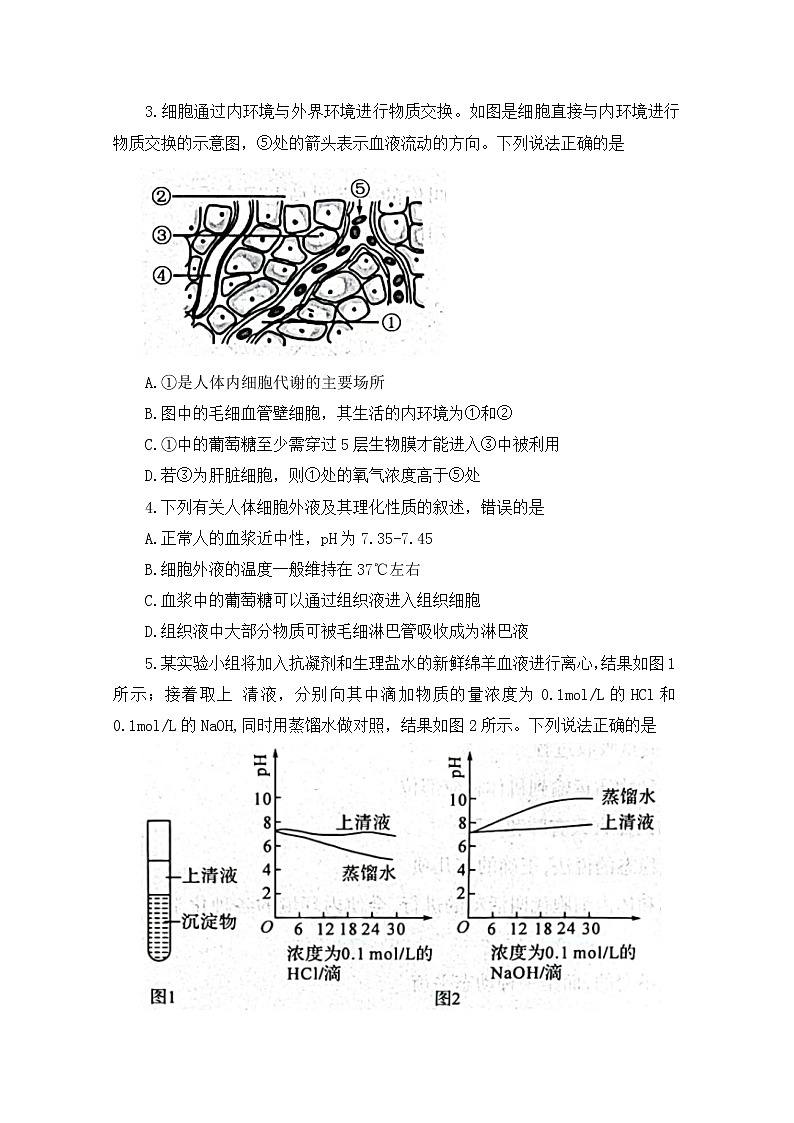河南省南阳市六校2022-2023学年高二生物上学期第一次月考试题（Word版附答案）02