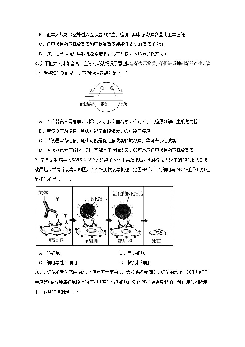 江苏省泗阳县实验高级中学2022-2023学年高二生物上学期第一次调研试卷（Word版附答案）03