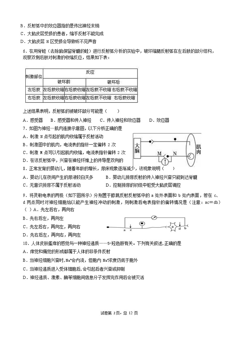 山东省枣庄市第三中学2022-2023学年高二生物上学期10月阶段检测试题（Word版附答案）02