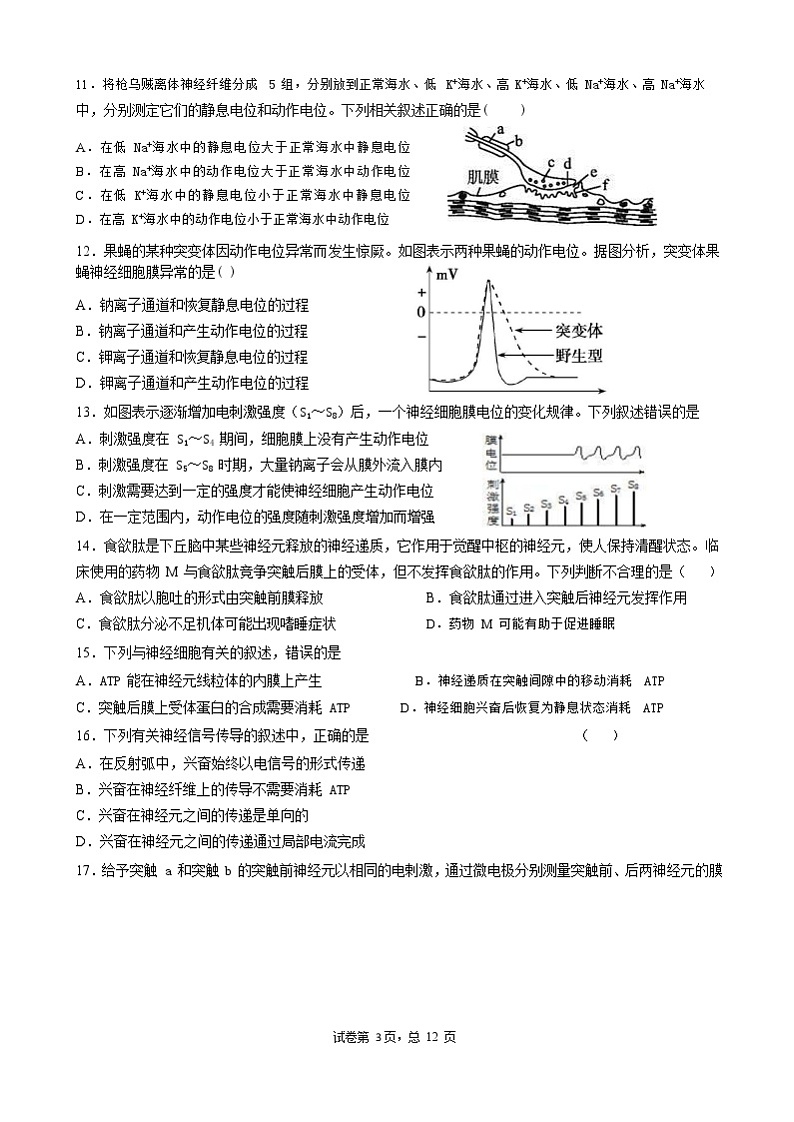 山东省枣庄市第三中学2022-2023学年高二生物上学期10月阶段检测试题（Word版附答案）03