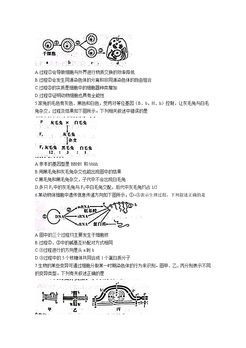 湖南省名校联考联合体2022-2023学年高二生物上学期第一次联考试卷（Word版附答案）02