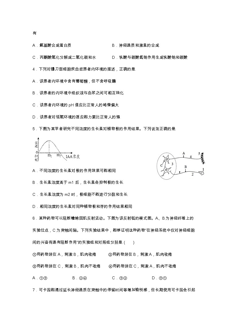 江苏省南通市海安高级中学2022-2023学年高二生物上学期第一次月考试题（Word版附答案）02