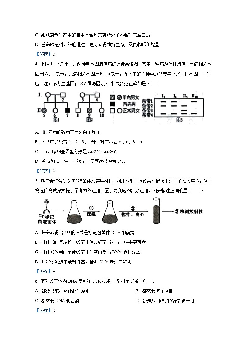 江苏省南通市海安市2022-2023学年高三生物上学期期初学业质量监测试题（Word版附答案）第2页