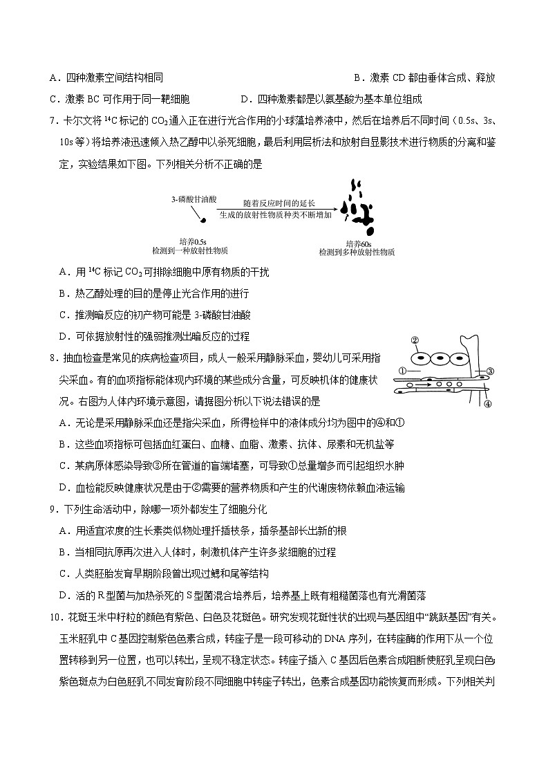重庆市缙云教育联盟2023届高三生物8月质量检测试题（Word版附答案）03