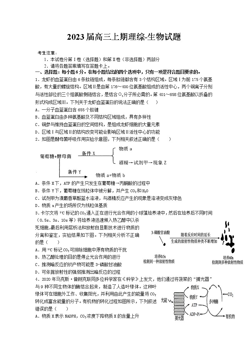 河南省信阳高级中学2023届高三生物上学期开学考试试题（Word版附答案）第1页