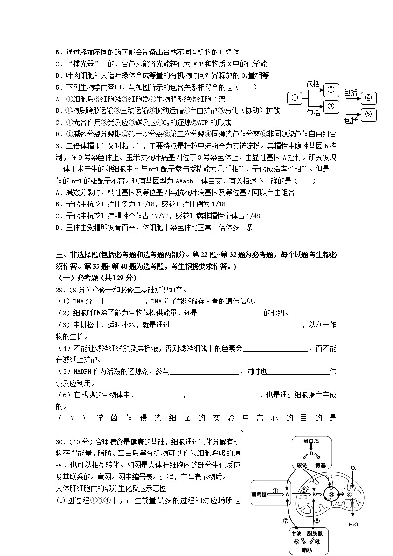 河南省信阳高级中学2023届高三生物上学期开学考试试题（Word版附答案）第2页