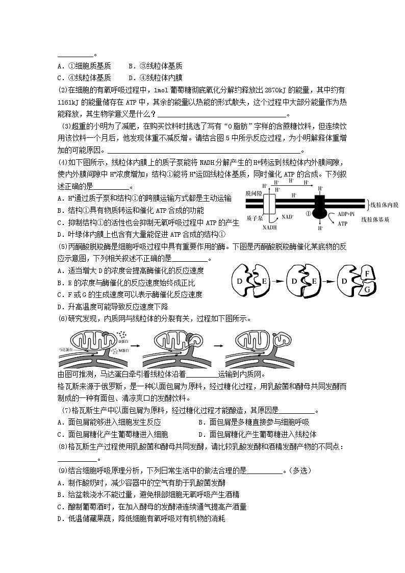 河南省信阳高级中学2023届高三生物上学期开学考试试题（Word版附答案）第3页