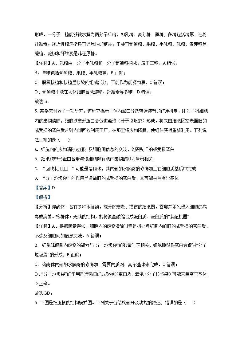 湖南省永州市第一中学2022-2023学年高三生物上学期入学考试试卷（Word版附解析）03