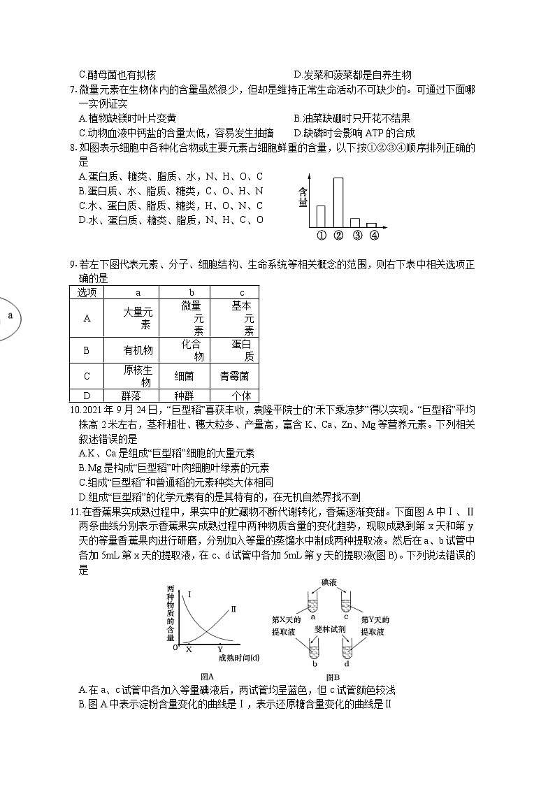 四川省绵阳南山中学2022-2023学年高一生物上学期10月月考试题（Word版附答案）02