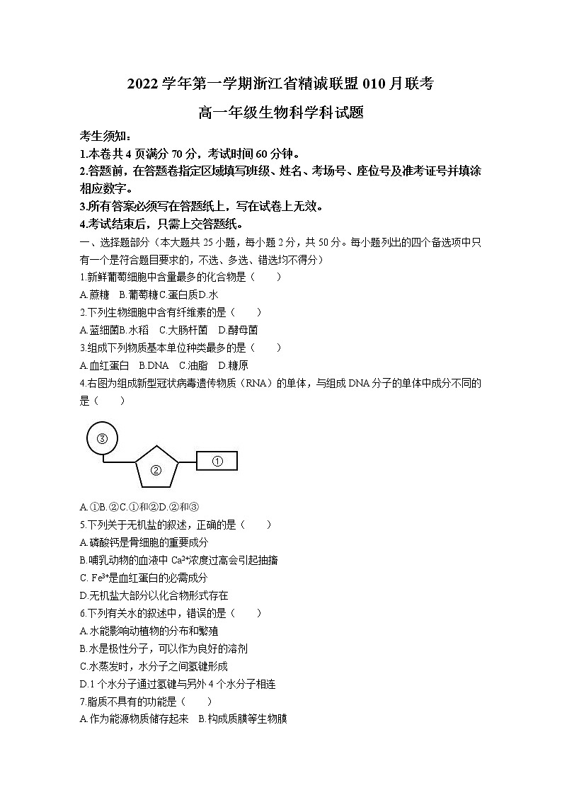 浙江省精诚联盟2022-2023学年高一生物上学期10月联考试题（Word版附答案）01