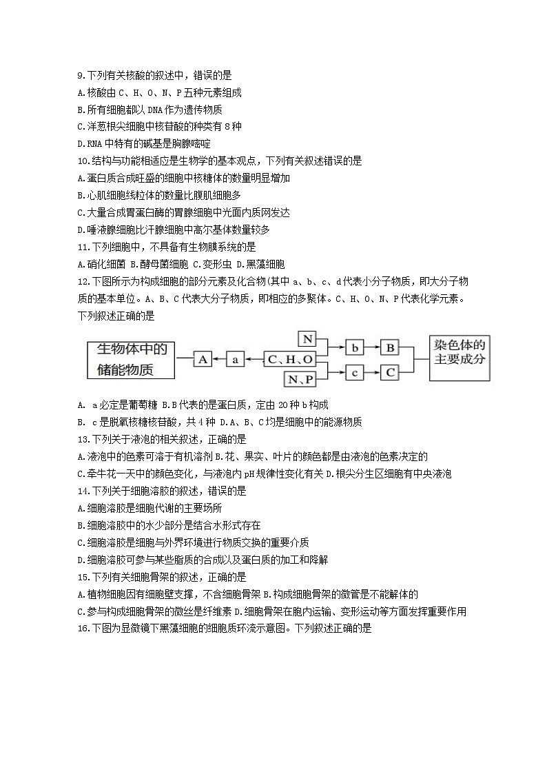 浙江省2022-2023学年高一生物上学期10月三校联考试题（Word版附答案）02