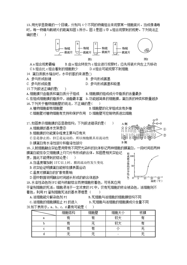 浙江省嘉兴市嘉善中学2022-2023学年高一生物上学期10月检测试题（Word版附答案）第2页